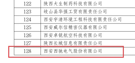 喜訊|西馳電氣榮獲國家級專(zhuān)精特新“小巨人”企業(yè)(圖2)